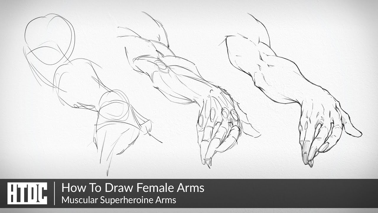 Featured image of post Muscular Woman Drawing