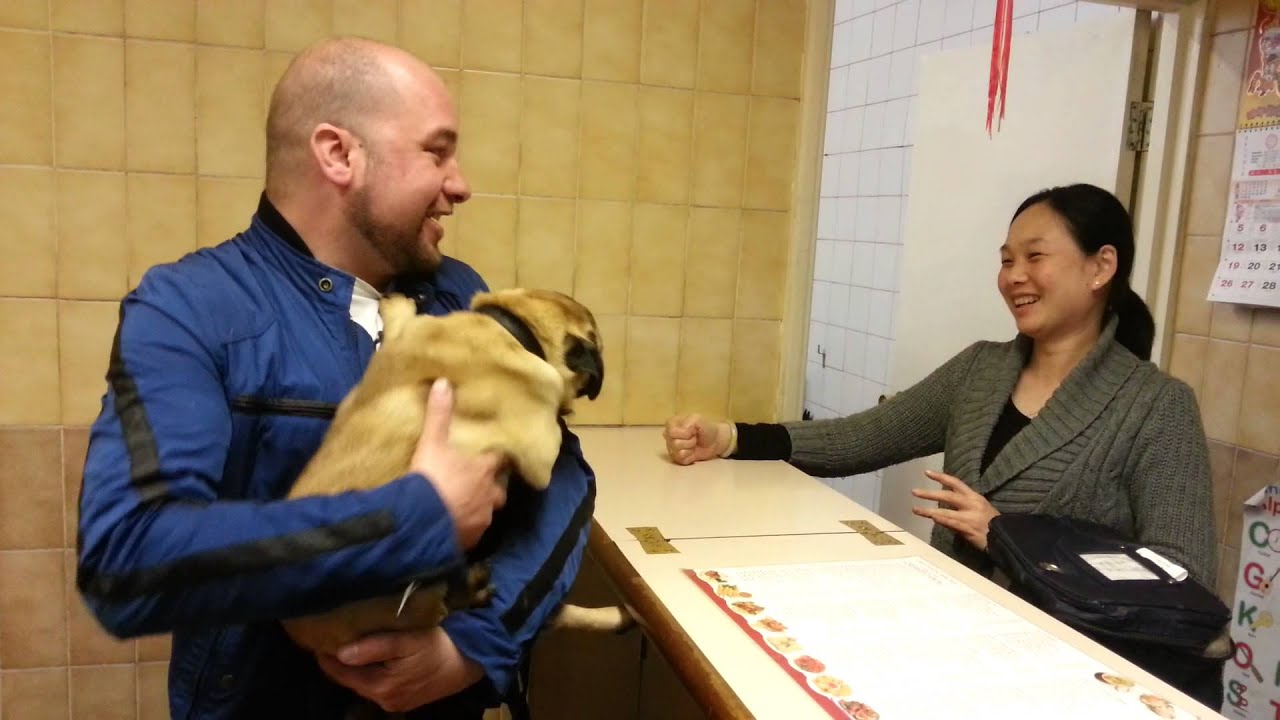 selling dog to chinese take away YouTube