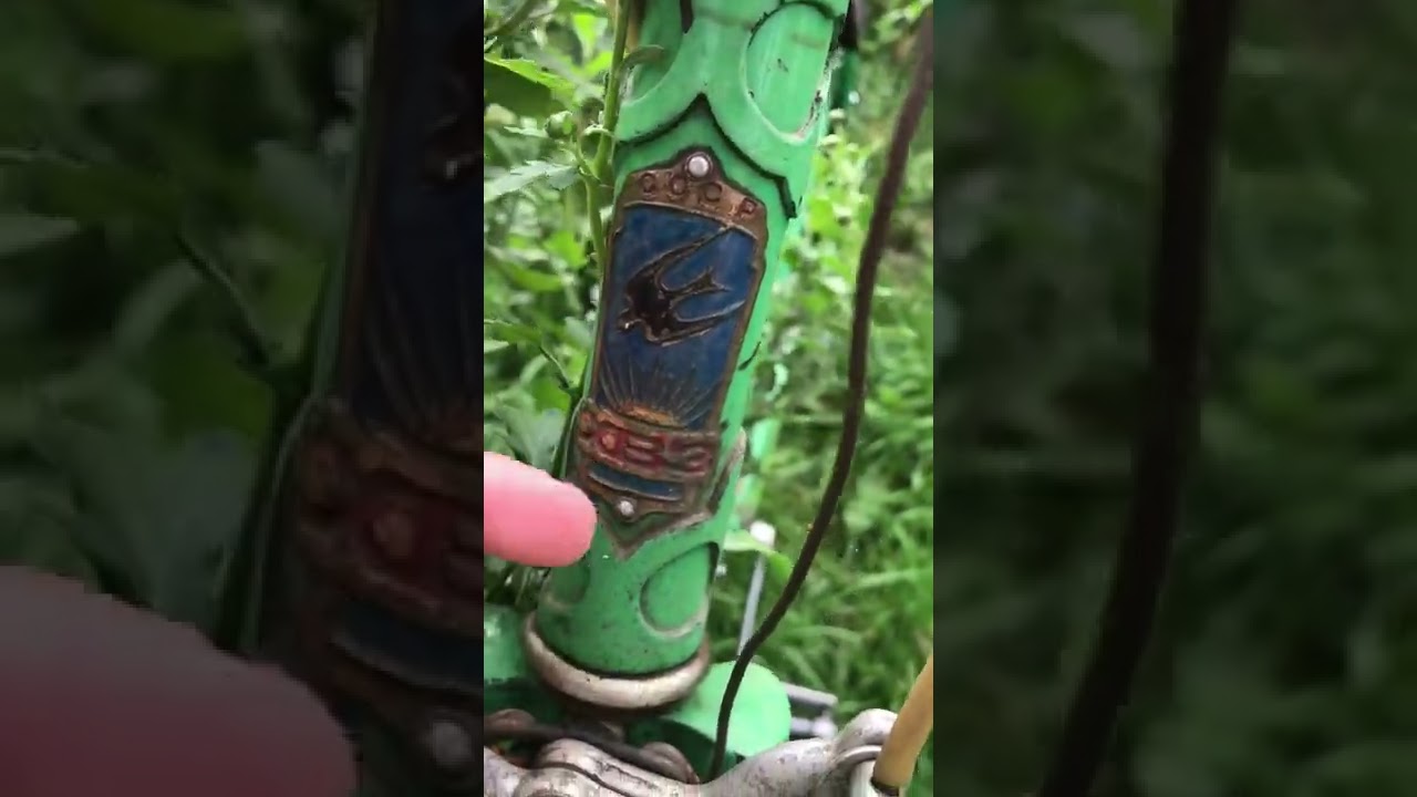 Спутник лада шильдик