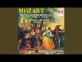 Miniature de la vidéo de la chanson Bastien Und Bastienne: Intrada