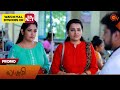 Lakshmi  promo  15 may 2024   new tamil serial  sun tv