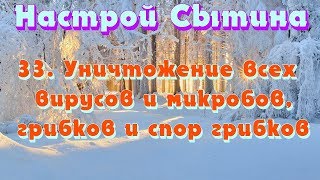 Уничтожение всех вирусов и микробов, грибков и спор грибков Настрой Сытина