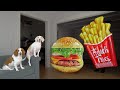 Dog vs Giant Burger & Fries Prank: Funny Dogs Maymo & Potpie Pranked by Junk Food