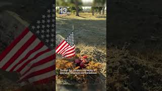 Panama City Man Destroys Dozens of Graves at Oakland Cemetery