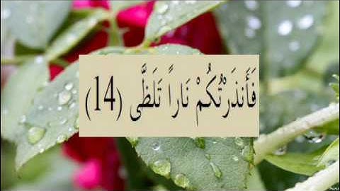 القران الكريم سورة الليل الاية 14