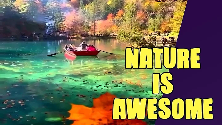 Nature Is Breathtaking \\ Funny Incredible \\ Vids 1