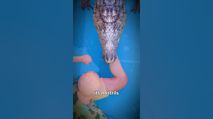 How To Escape An Alligator Death Roll #viralvideo #shorts