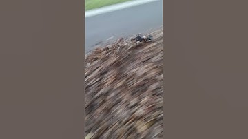 Rustler VXL Crash #shorts