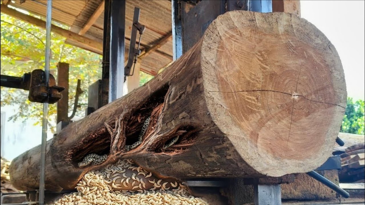 the beautiful charm of old teak wood at the sawmill - YouTube