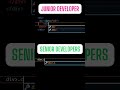 Junior Developer vs Pro Developer | HTML CSS