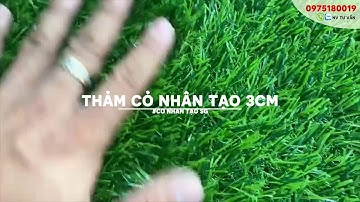 Thảm Cỏ Nhân Tạo Sân Vườn 3cm (30mm) Dày Mịn Đẹp Giá Rẻ | Cỏ Nhân Tạo SG