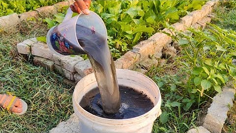 The Ancient Zero Cost Hack That Created Microbe Super Soil & Made My Garden EXPLODE!