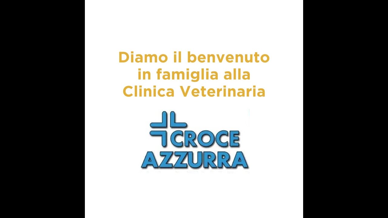 clinica veterinaria croce bianca di zuliani bragantini speroni