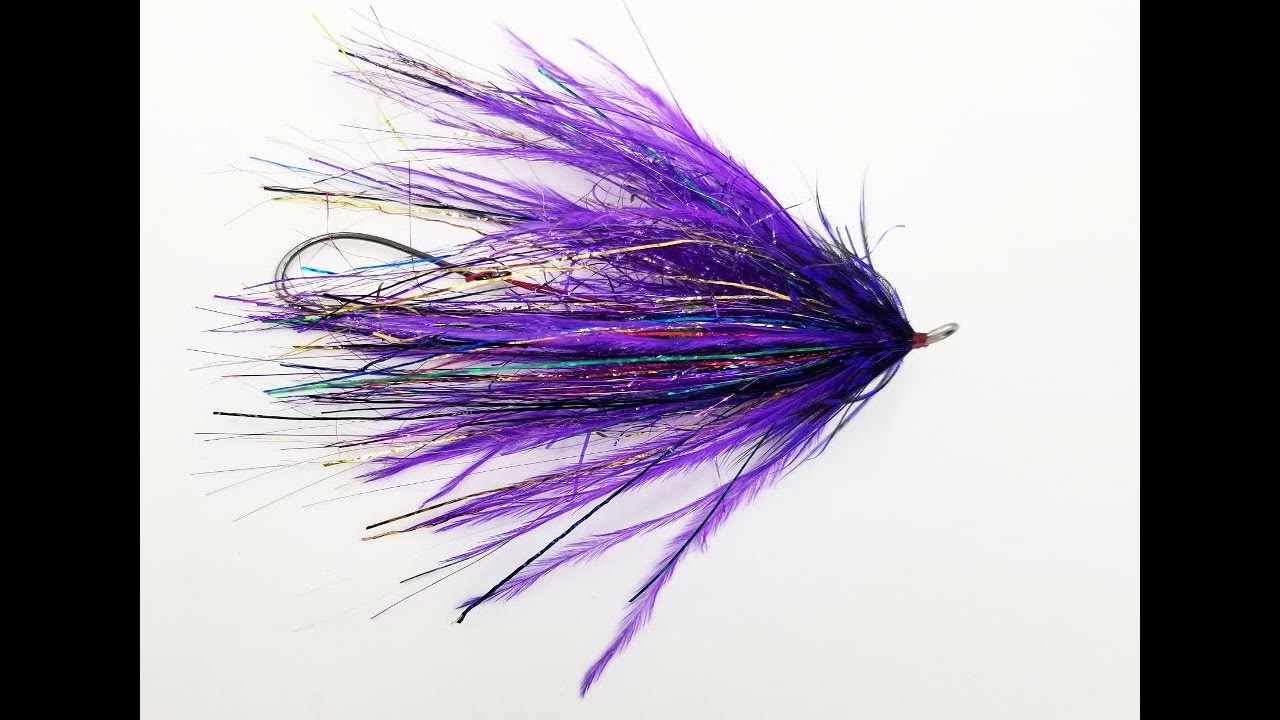 Tying The Taco Wagon