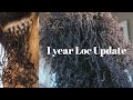 D.I.Y MICROLOCS Two Strand Twists | 1 Year Update