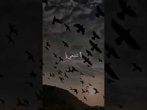 يرتوي بالحب قلبي لرسول الله صلى