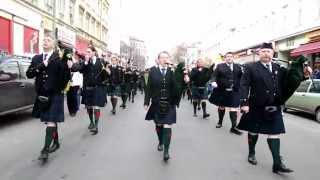 St. Patrick&#39;s Day. Berlin 2013. Parade
