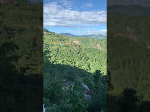Hotel balcony view at darlaghat solan #shorts #nature