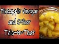 Pineapple Vinegar and Other This~N~That
