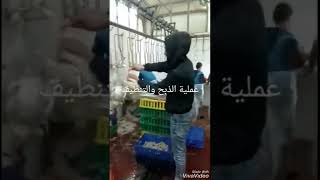 Automatic poultry slaughterhouse   #الجزائر #مصر_العربية #الاردن #العراق #chaina #japan