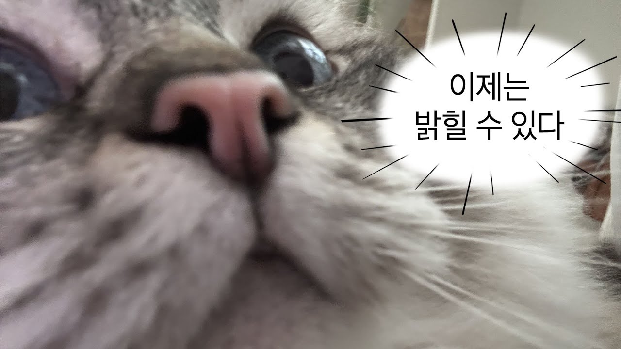 9년간 해왔던 사업을 접은 이유.. ˖◛⁺˖두 달만의 근황..(백수지만 슬프지않아요?)