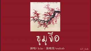 [THAISUB] 蘇幕遮 ซูมูจือ - 張曉棠 จางเซียวถัง | เพลงจีนแปลไทย