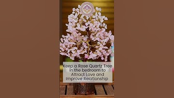 Vastu Tips To Attract Abundance | Futures Darpan