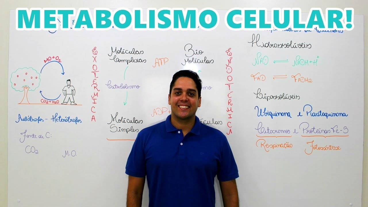 METABOLISMO CELULAR - INTRODUÇÃO