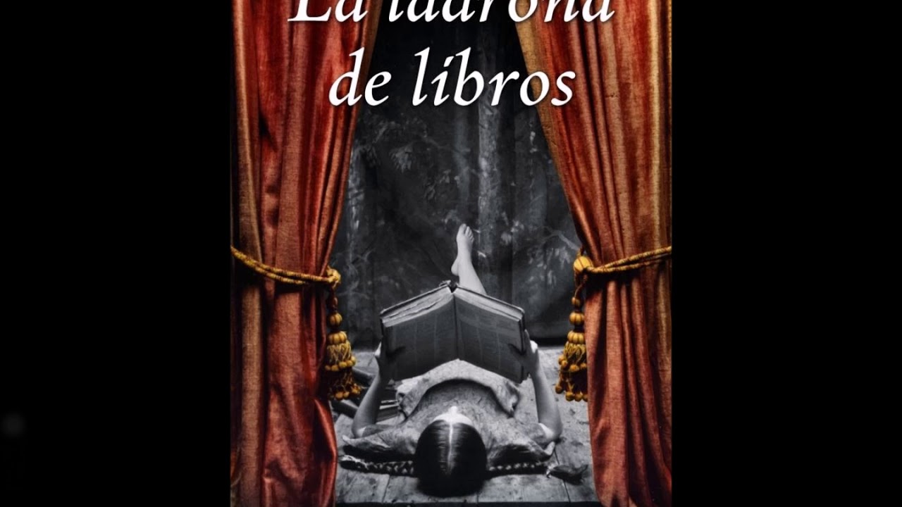 resumen de la ladrona de libros capitulo x capitulo porfa​ 