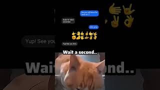 Wait... how did he read that?π #funny #memes #shorts #relatable #catmeme #holdup #humor #textmemes Wait... how did he read that?π #funny #memes #shorts #relatable #catmeme #holdup #humor #textmemes
