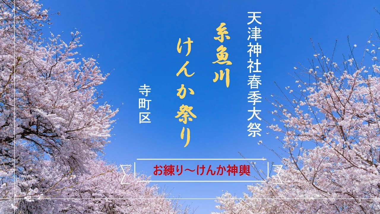 糸魚川けんかまつり【お練り～けんか神輿】糸魚川市寺町区