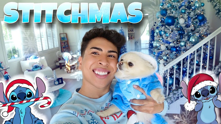 STITCHMAS HOME DECOR REVEAL!!! IM SO EXCITED!! | Louie"s Life