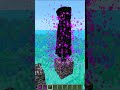 100,000 Endermans VS 1 Endermite🤯 #minecraft #shorts