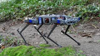 Low Cost Walking Quadruped Robot DIY