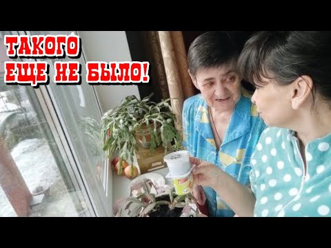 Хутор мамы ларисы новые видео