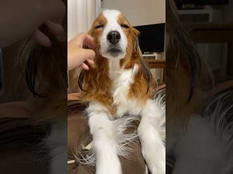 ほっぺがツボなコイケルボーイ。