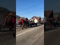 Gospodarii din Bucovina Moldovița #horse #cai #caigrei #pferd #pferde #horsepower #bucovina #românia