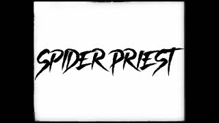 Spider Priest - The Dark Hunt