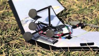 Acoustic Source Localization of Emergency Signals from Micro Air Vehicles