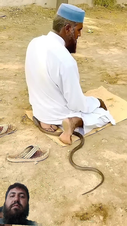 Allah hu Akbar #duet #cobra #quran #islamicstatus #love #islamicmovement #islamicmovement