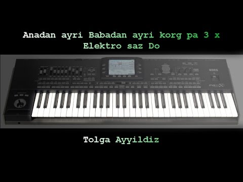 Tolga Ayyildiz Anadan ayri Babadan ayri korg pa 3 x  Elektro saz Do