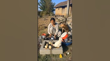 "Python 🐍 Attack Stopped by Brave Dog 🐕 | Hen Saved in Seconds!" #shorts #giantpython #villagelife