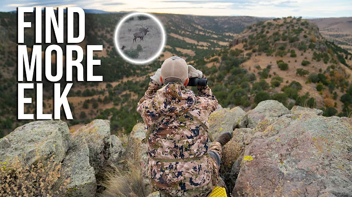 Find More Elk! | Late Season Glassing Tips