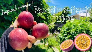 【トロピカルな夏にしよう！】Passion fruit juice!! 〜パッションフルーツジュース〜