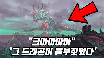 전세계가 지려버린 한국의 궁극 최강캐 투명드래곤 전세계가 지려버린 한국의 궁극 최강캐 투명드래곤