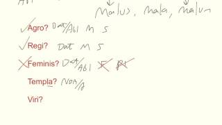 Adjectives in Latin 1 - 2-1-2