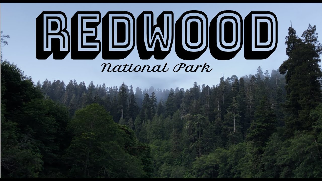 Redwood National Forest: Perfect Weekend Trip