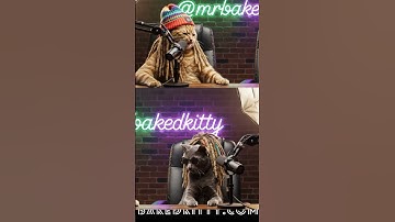 Mr.BakedKitty Shenanigans  #catlife #catlovers #catnip #catnipcraze #catshorts #catvideos