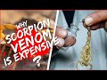 Why scorpion venom is so expensive 2023