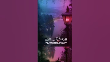 #قرآن #اكسبلور #آيات #دويتو #ذكر #حالات واتس #اسلاميات #لايك #تلاوة